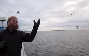 The Best Bird Catcher Ever