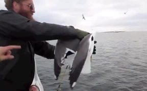 The Best Bird Catcher Ever - Fun - VIDEOTIME.COM