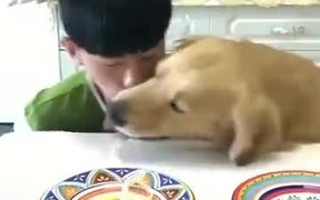 Meet The Hungriest Dog Of This Planet!