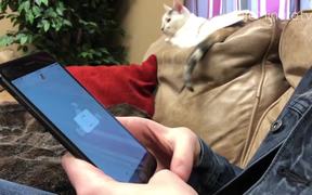 New App for Pet Lovers