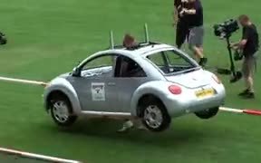 The Low Budget Car Race