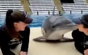 The Kissing Marathon With A Dolphin