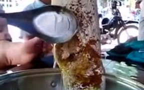 Honey Is Extracted From The Comb - Fun - VIDEOTIME.COM