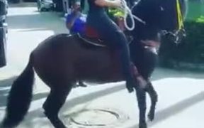 Tap Dancing Horse In Town