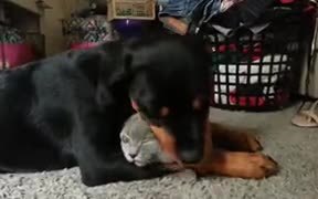 When Someone Hugs You For A Long, Long Time - Animals - VIDEOTIME.COM