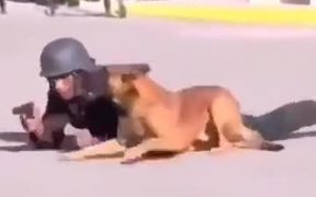 Trained K9? Super Canine