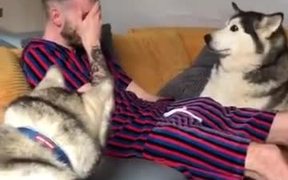 The Fart-Man And His Dogs - Animals - VIDEOTIME.COM