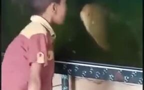 Heated Argument Between A Kid And A Fish