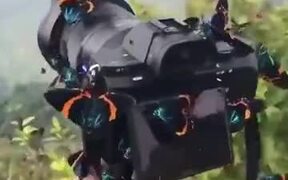 A Camera Has Been Blessed By Beautiful Butterflies