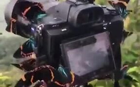 A Camera Has Been Blessed By Beautiful Butterflies - Tech - VIDEOTIME.COM