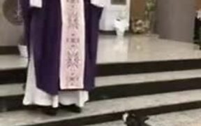 The Most Religious Dog - Animals - VIDEOTIME.COM