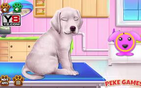 Labrador Puppy Day Care Walkthrough - Games - VIDEOTIME.COM