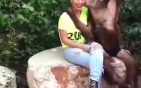 This Orangutan Knows How To Get Ladies