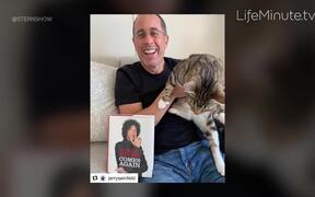 Cat-Obsessed Celebs