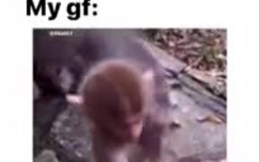 The Monkey Be Like "No Candies From Strangers" - Animals - VIDEOTIME.COM