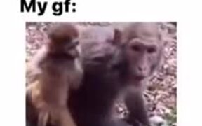 The Monkey Be Like "No Candies From Strangers"