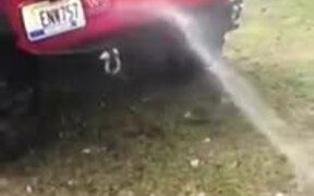 Not Easy To Clean Cars With Dogs Around - Animals - VIDEOTIME.COM