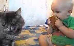 Very Nice Friendship, But Not Nice For The Toddler - Animals - VIDEOTIME.COM