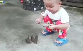 Tiny Kid Feeding The Tiny Birds - Kids - VIDEOTIME.COM