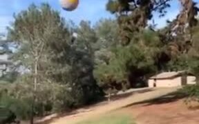 This Dog Has His Way With The Ball - Animals - VIDEOTIME.COM