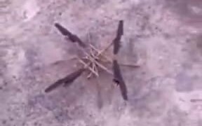 Here's A Biodegradable Drone Made Of Sticks - Tech - VIDEOTIME.COM