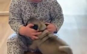 These Two Babies Will Grow Up As Amazing Friends - Animals - VIDEOTIME.COM
