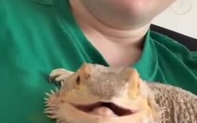 This Smiling Lizard Will Make Your Day