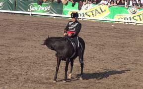 Black Cavalry of the Chilean Army - Animals - VIDEOTIME.COM