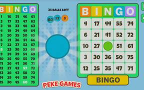 Bingo Solo Walkthrough - Games - VIDEOTIME.COM