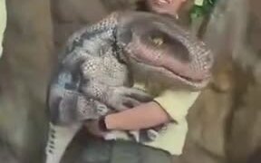 Does Anyone Want A Dinosaur Pet? - Fun - VIDEOTIME.COM