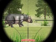 Classical Hippo Hunting Walkthrough - Games - Y8.COM