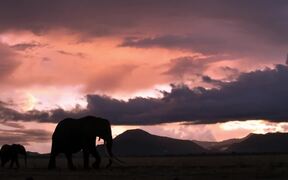 The Elephant Queen Trailer
