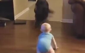 Dog Playing With The Baby - Animals - VIDEOTIME.COM