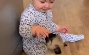 Cute Baby With Cute Puppies - Animals - VIDEOTIME.COM