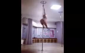 Pole Dancing Taken To Artistic Levels - Fun - VIDEOTIME.COM