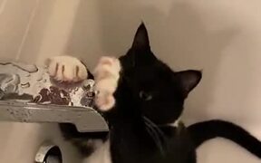 A Cat That Loves To Shower!? - Animals - VIDEOTIME.COM