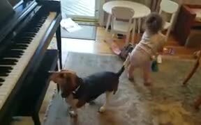 Baby And Doggo's New Band