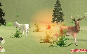 Deer Hunter Classical Walkthrough - Games - VIDEOTIME.COM