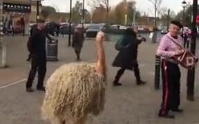 Behold The Ostrich Man - Fun - VIDEOTIME.COM