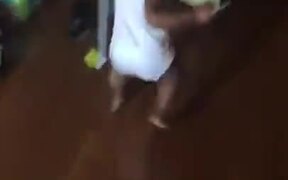Toddler Takes Off With The Money - Kids - VIDEOTIME.COM