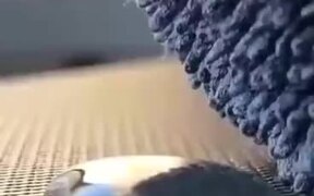 Wool Absorbing A Drop Of Water