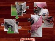 Funny Dogs Puzzle Walkthrough