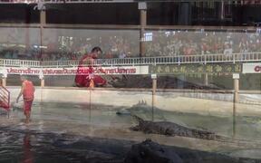The World's Largest Crocodile In Captivity
