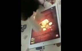 Catto Is The Master Of Fruit Ninja - Animals - VIDEOTIME.COM