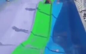 Puppy Really Loves Amusement Park Slides - Animals - VIDEOTIME.COM
