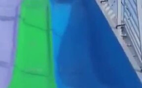 Puppy Really Loves Amusement Park Slides - Animals - VIDEOTIME.COM
