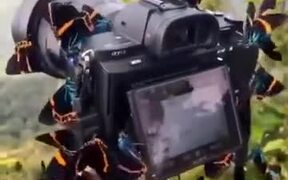 So Many Gorgeous Butterflies! - Fun - VIDEOTIME.COM
