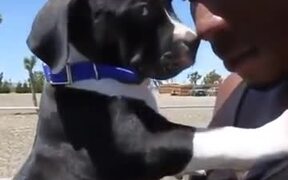 Extremely Cute Puppy With His Big Man! - Animals - VIDEOTIME.COM