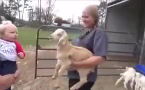 Human Baby And Baby Goat Share The Same Language! - Animals - VIDEOTIME.COM
