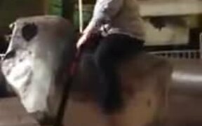Woman Rides On A Twerking Mechanical Bull!